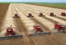 Por Getúlio Reis – Correntina produz bilhões, mas segue sem indústria: a riqueza que vai embora