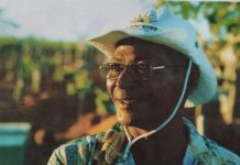 Por Antonio Rocha – ZÉ BRITO, UM AUTÊNTICO ROSTO SERTANEJO REVELADO PELA CIDADE.