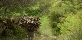 POR ANTONIO ROCHA – GREGÓRIO DO MATO